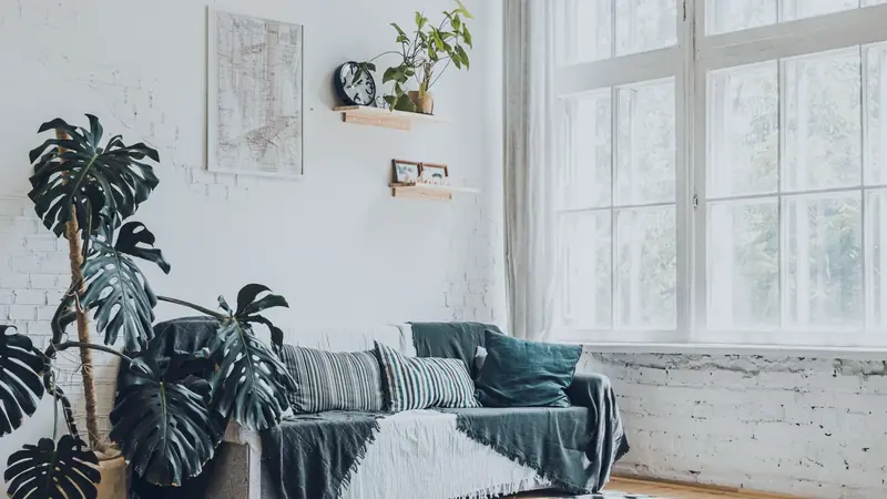 Salon lumineux aux murs de brique blanche avec canapé recouvert de plaids, grand monstera et haute fenêtre