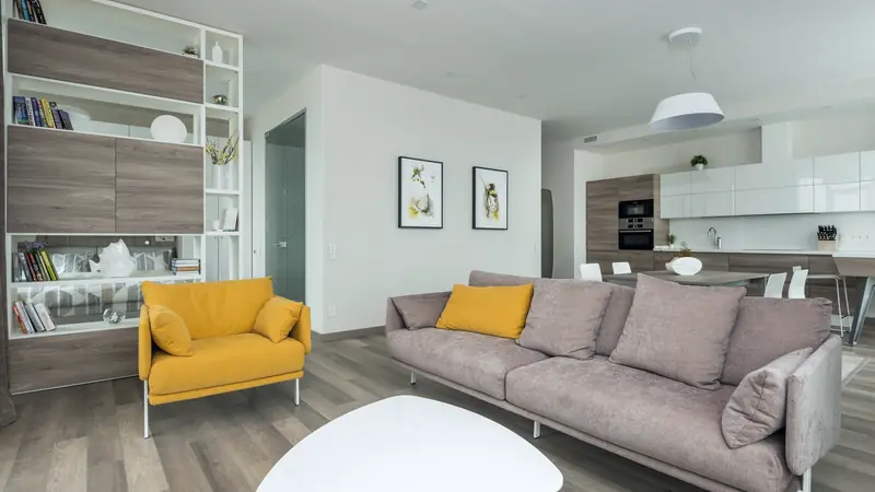 Séjour meublé avec un canapé gris, une table basse et des étagères dans un appartement lumineux